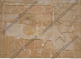 Photo Texture of Hatshepsut 0244